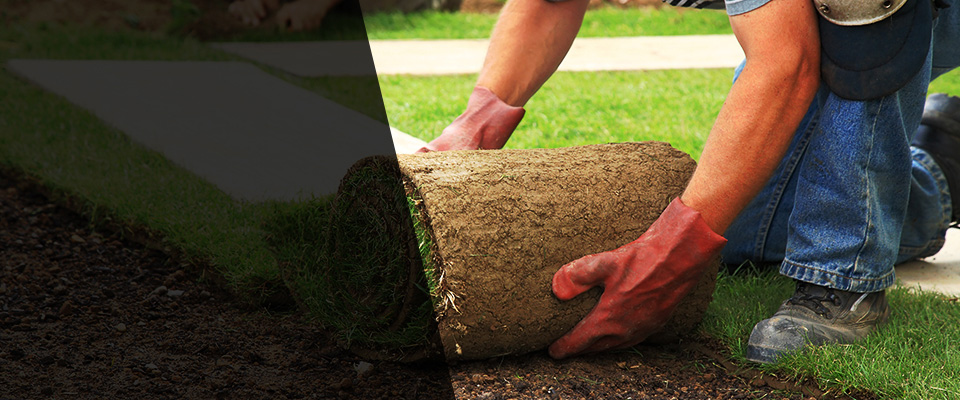 Hertford Landscapers